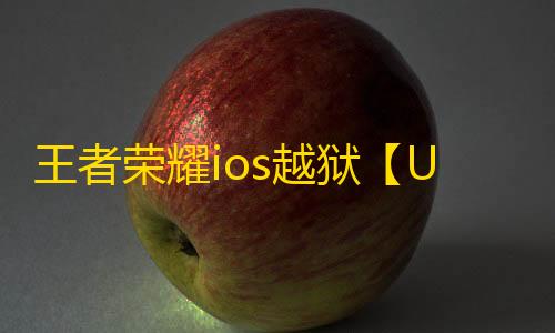 王者荣耀ios越狱【UN】辅助